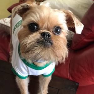 Meet your Posher, Maison